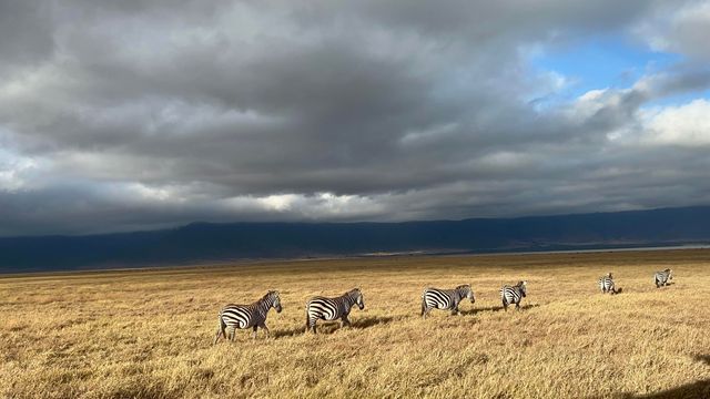 Lemala Ngorongoro Camp坦桑尼亞帳篷酒店