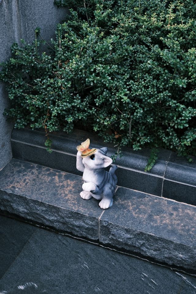 上海周邊又發現一座小眾寶藏城市——衢州