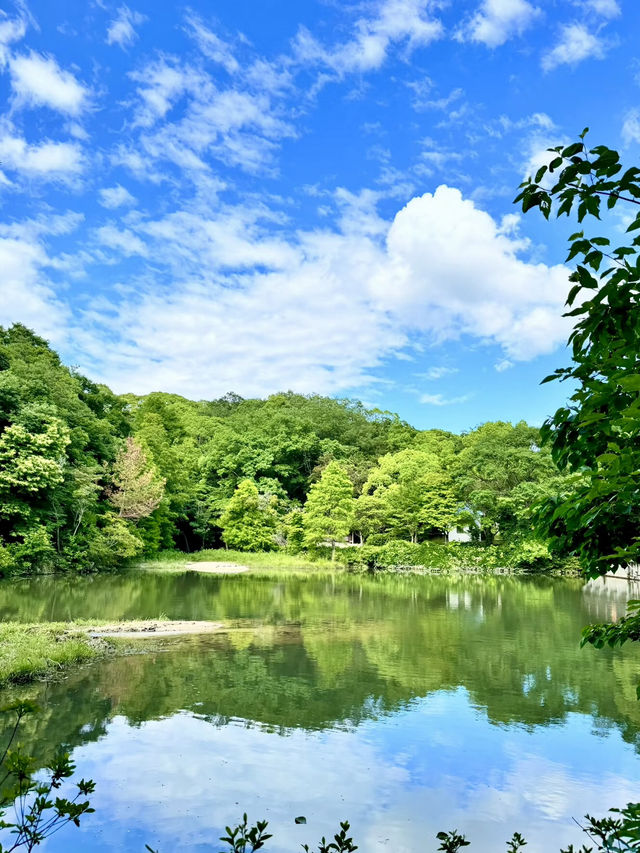 雲間清影：六甲山的自然與靜證