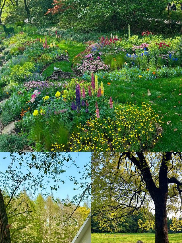 春天的共青森林公園！真的很令人期待！！！