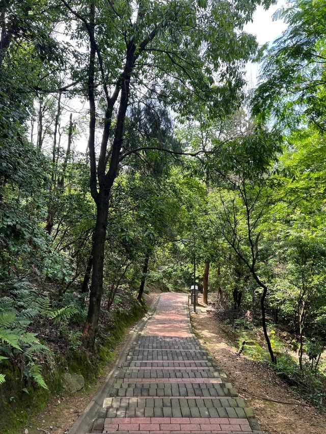 湖南湘潭金霞山｜湖南「小九寨」