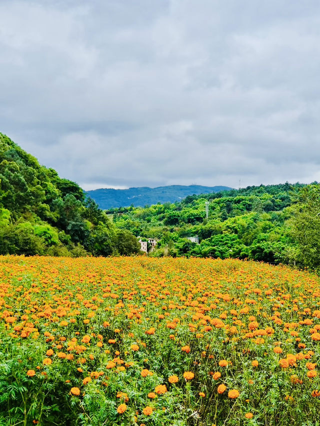 Dianzhong Village, Anning