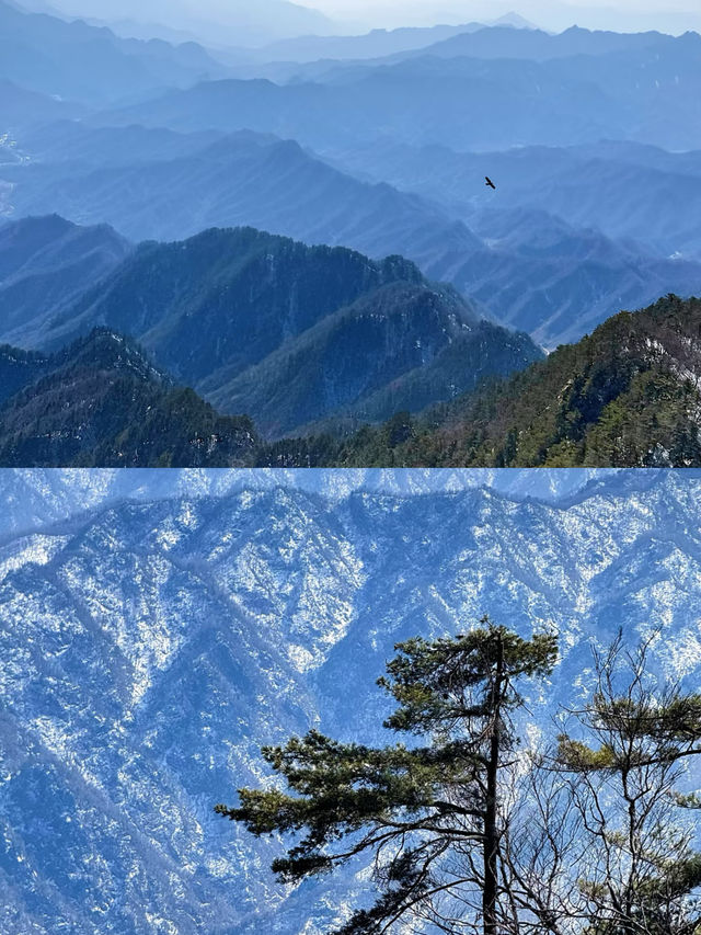 遠赴人間驚鴻宴，小小老君山拿下