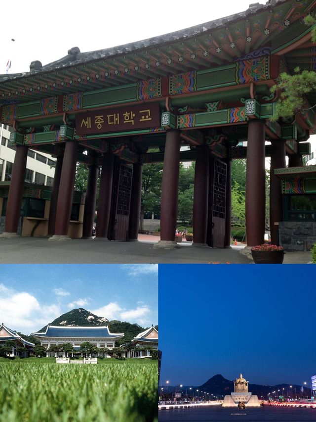 韓韻世宗 | 一場詩意的文化尋蹤之旅