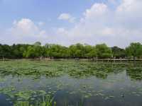 長春·南湖公園——長春城南的超級公園