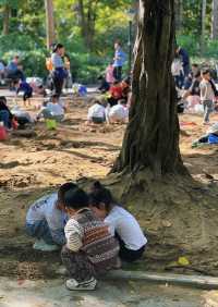 深圳公園 city walk 周末遛娃好去處