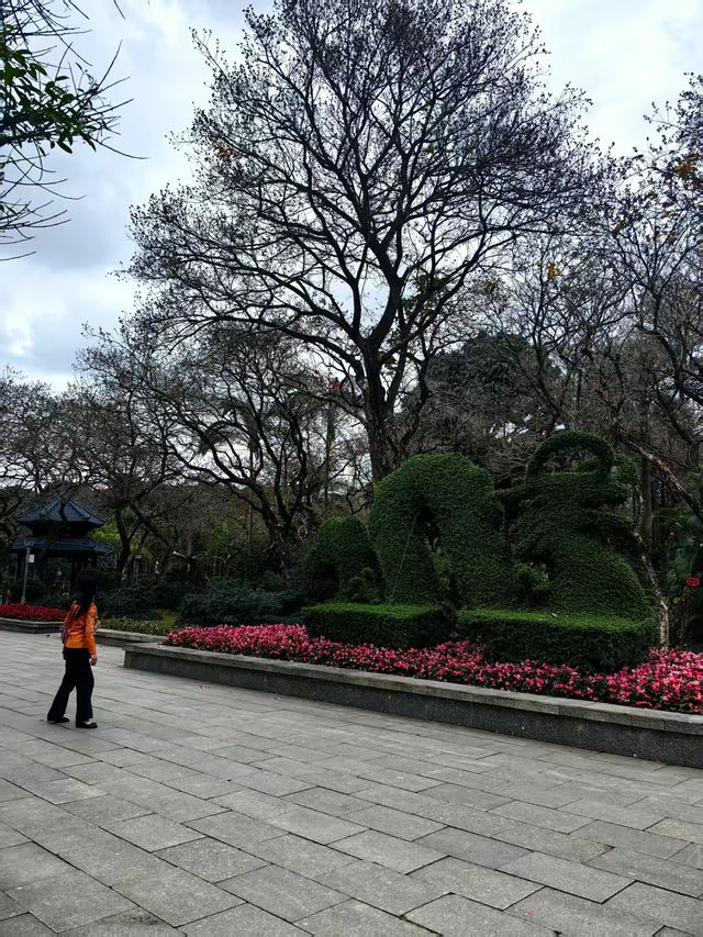 南寧寶藏小眾0元公園｜金花茶公園