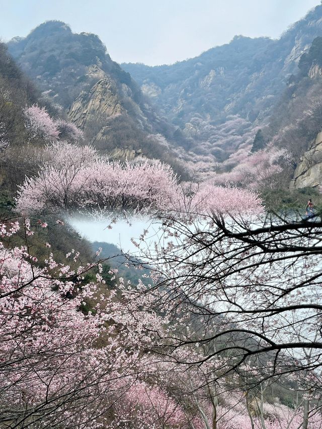 藍天三鳳山 | 西安周邊的世外桃源
