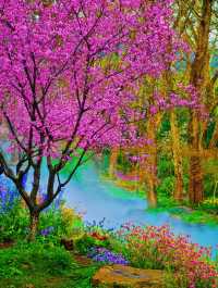 中山植園秀，花木韻長留，四季景皆優