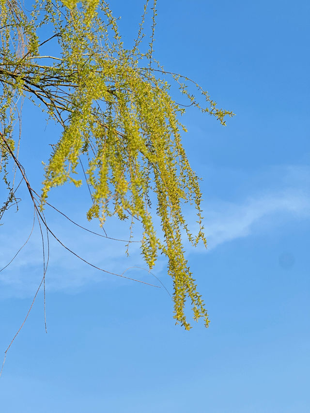 鄭州踏春好地方，一定要來蝶湖！