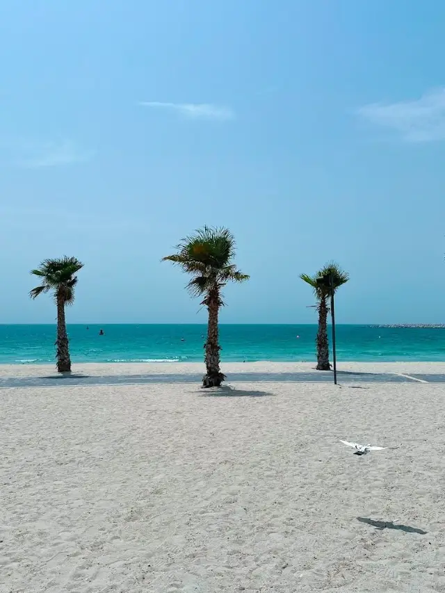 Visa-free travel to the UAE during the Qingming Festival holiday