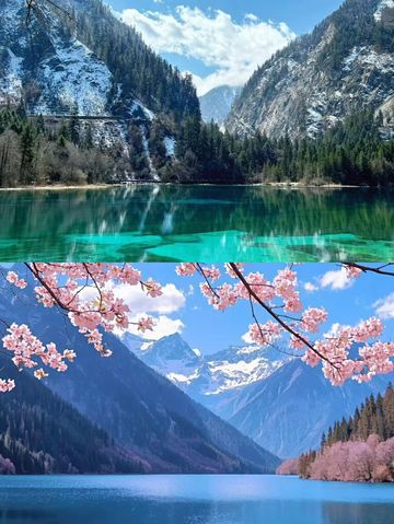 九寨溝受罪已回，要去的姊妹慎重因為...