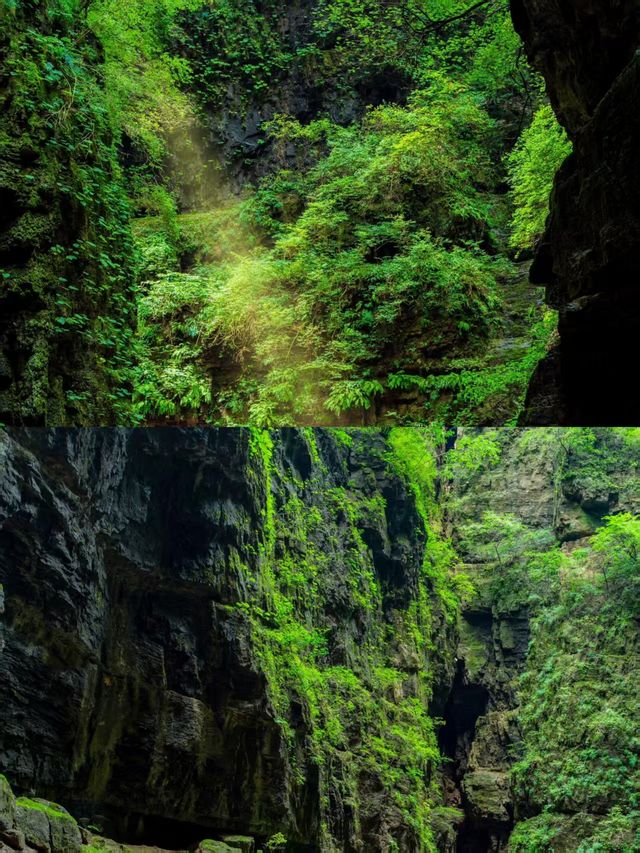 北京上春山！時隔半年的神仙大峽谷開放了