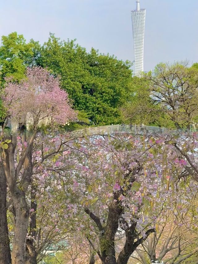 廣州東山湖公園適合一個人發呆的地方