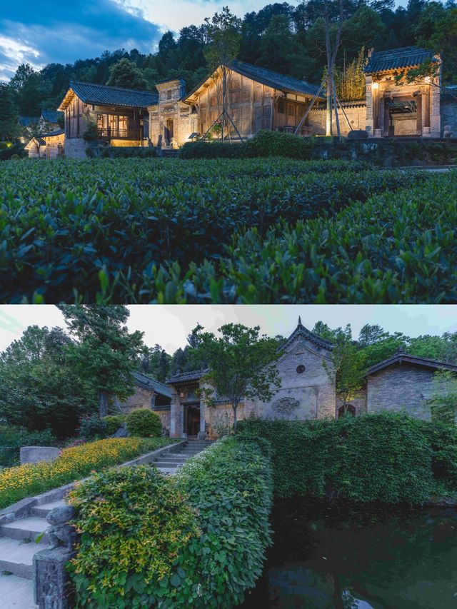 清明私藏路線｜採春茶、住古院、訪古鎮