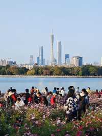 廣州Citywalk一日游 | 解鎖廣州文化館&海珠湖