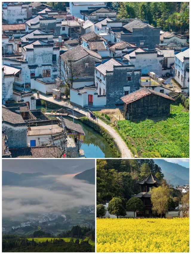 4 月去婺源玩嘅攻略，睇呢篇就夠喇