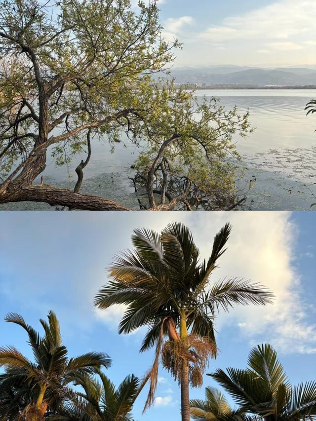 西昌3日寶藏旅行計劃|內陸人的海邊烏托邦