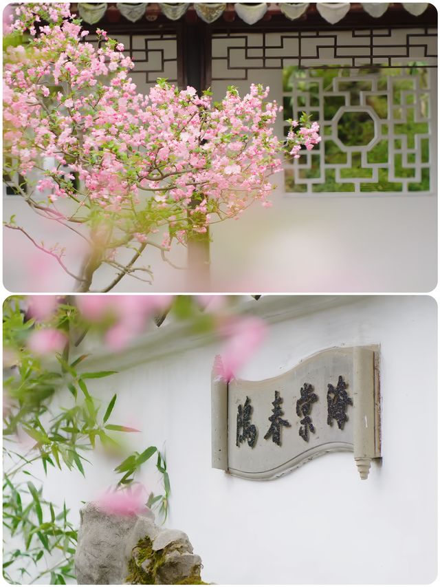蘇州受罪已回，真不建議3月去！