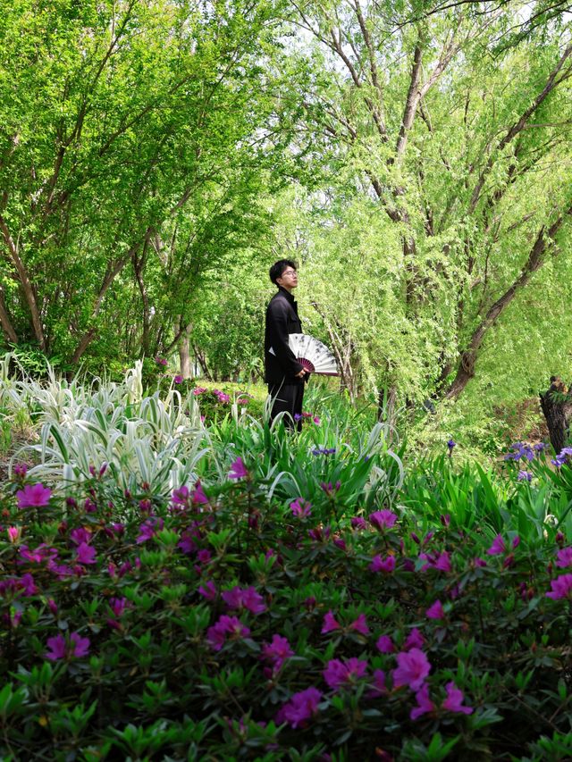 以為臨平公園夠美了！直到去了湖州杜鵑花海