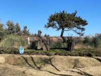 《穿越時空，走進苑陵故城遺址公園