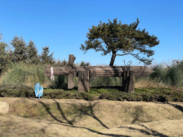 《穿越時空，走進苑陵故城遺址公園