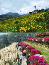 桂林山水秘境·六景聯動拍攝寶典