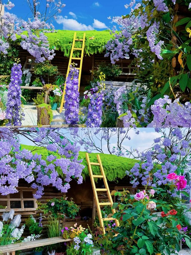夢境中的花園