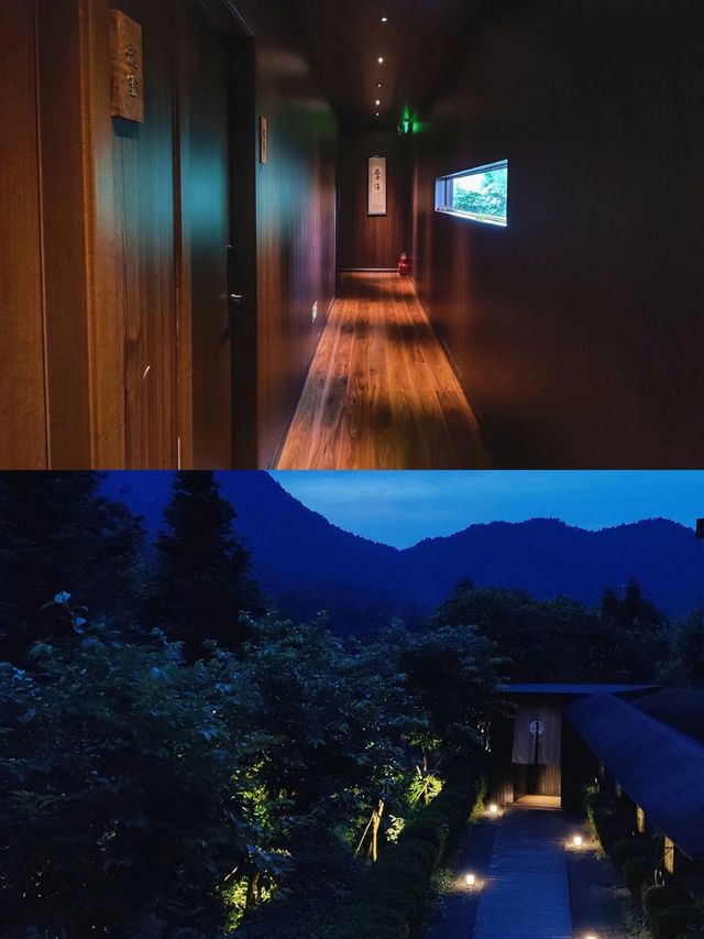 漳平岳山嘉茗～隱匿於山水的茶旅民宿