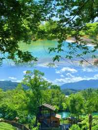 不知道五一去邊度就來武夷山飲大紅袍悠閒自在