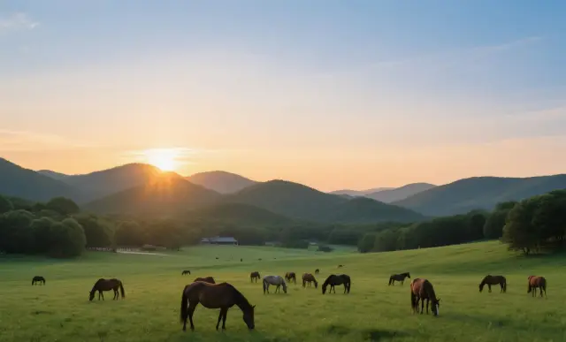 Mulan Paddock | Make a Dream of Galloping