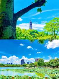 窮鬼版順德3天2夜·真嘅只係用咗480