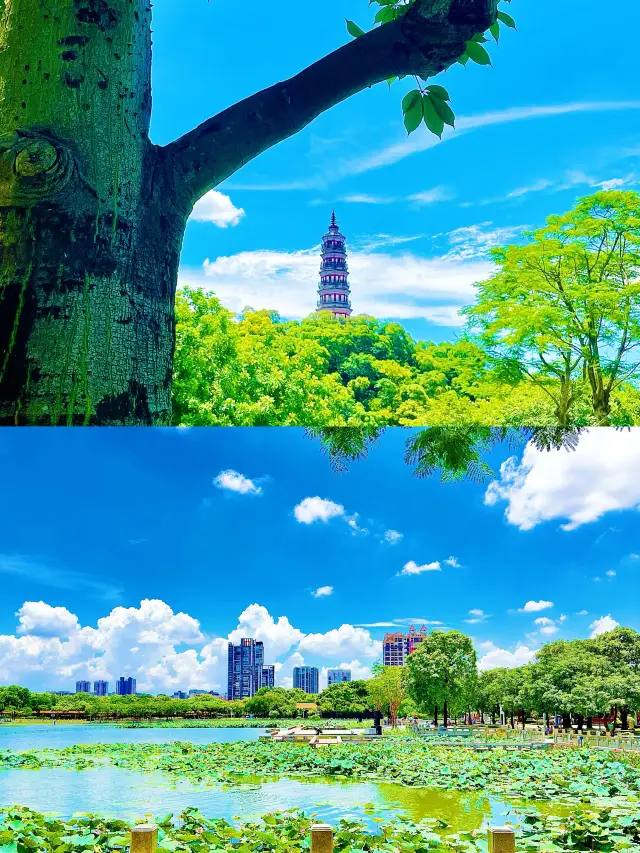 窮鬼版順德3天2夜·真嘅只係用咗480