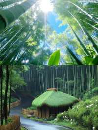闖進萬畝竹海！這片竹海承包了整個夏天的清涼