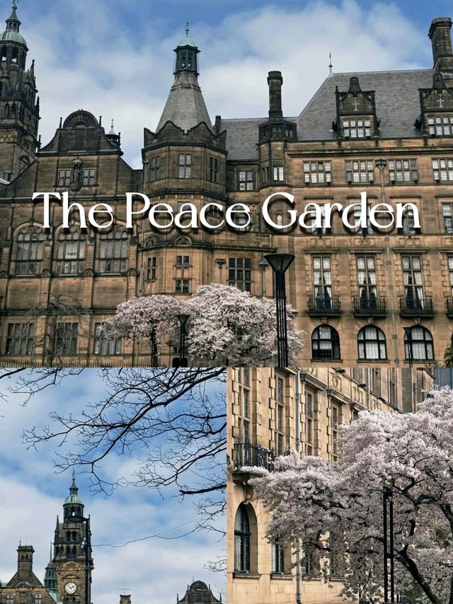 Sheffield's Peace Gardens is so Mesmerizing❤️‍🔥💯