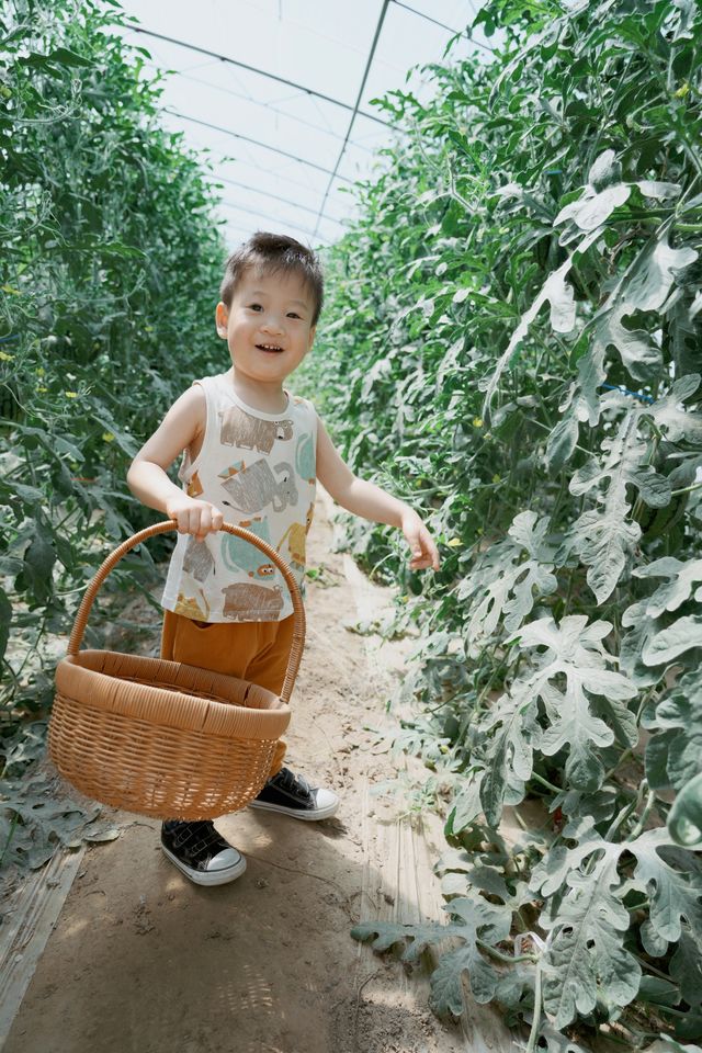 大興龐各莊，鄉村遛娃 | 吃瓜群眾已就位