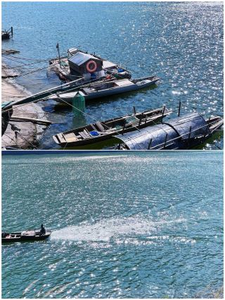 Though the words may be harsh, this is the current state of Qingyuan