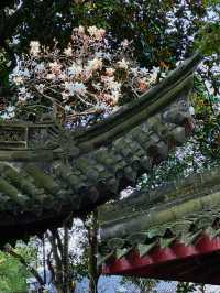 穿越600年打卡中國最古老嘅私家藏書樓
