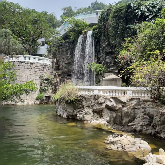 金鐘秘境｜走進香港公園的隱藏版「城市童話」