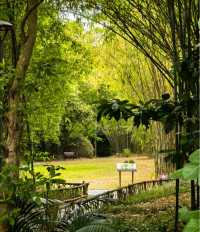 一齊去公園行下·深圳仙湖植物園！