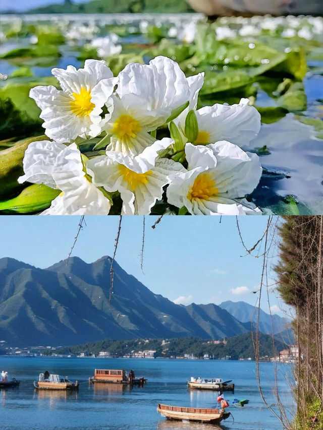 瀘沽湖｜闖入摩梭秘境，48小時慢生活指南