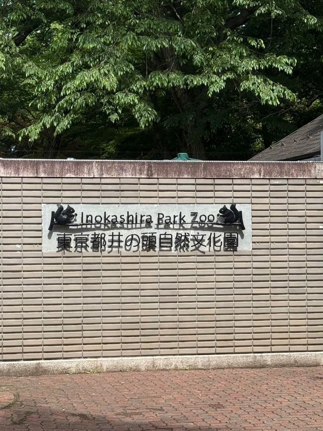 井之頭恩賜公園交通攻略：輕鬆抵達市區綠洲