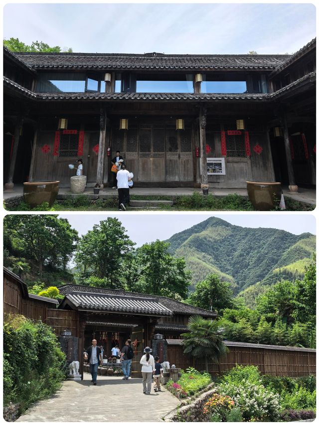 「江疏影私藏！800年紅豆杉古村の隱世玩法」