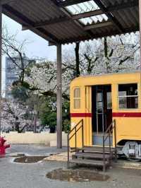 東京飛鳥公園交通攻略：輕鬆抵達都市綠洲