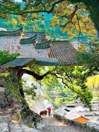 麗水·松陽～江南最後嘅秘境