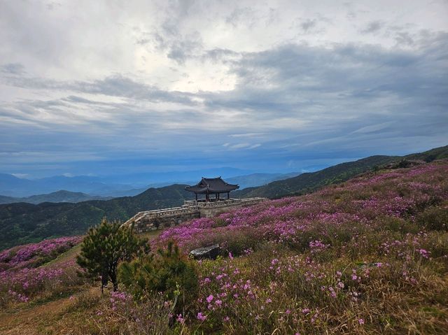 별빛언덕 황매산
