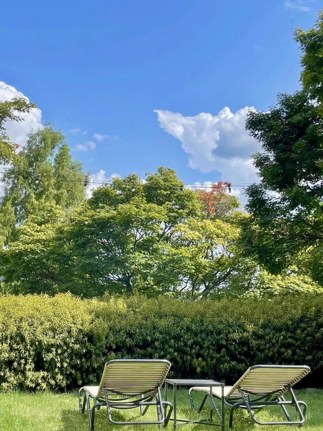 與雲平行的午後水光—首爾君悅酒店