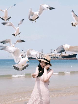 Whirlwind One-Day Trip in Weihai: Capturing Stunning Photos