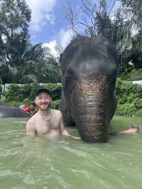 Beautiful Phuket, Paradise On A Budget! You Can Afford To Go Here ❤️ 💰 🏝️ 