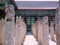 From Art to History: Jinan’s Free Museum Days Revealed